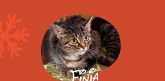 Zeit, Geduld und Ruhe sind gefragt! – VERMITTELT –