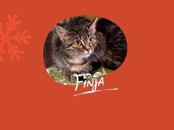 zLMSZrFhJcAutoOCAv5vbaIYCK0bNKux