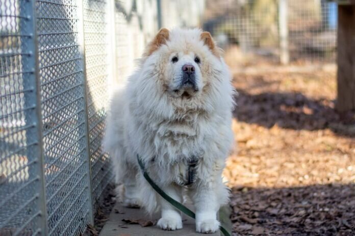 273994966_5275233265839847_4427663016191591446_n