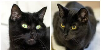 Rasta & Betty – VERMITTELT –