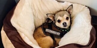 Post aus dem neuen Zuhause