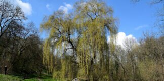 Frühling hat nun Einzug gehalten.