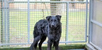 Geduld, Zeit und Durchhaltevermögen für ODIN – VERMITTELT