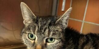 Sensible ESMEE – VERMITTELT –