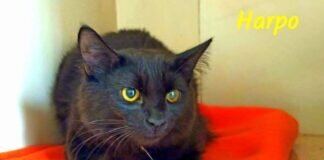 Herzlich willkommen!