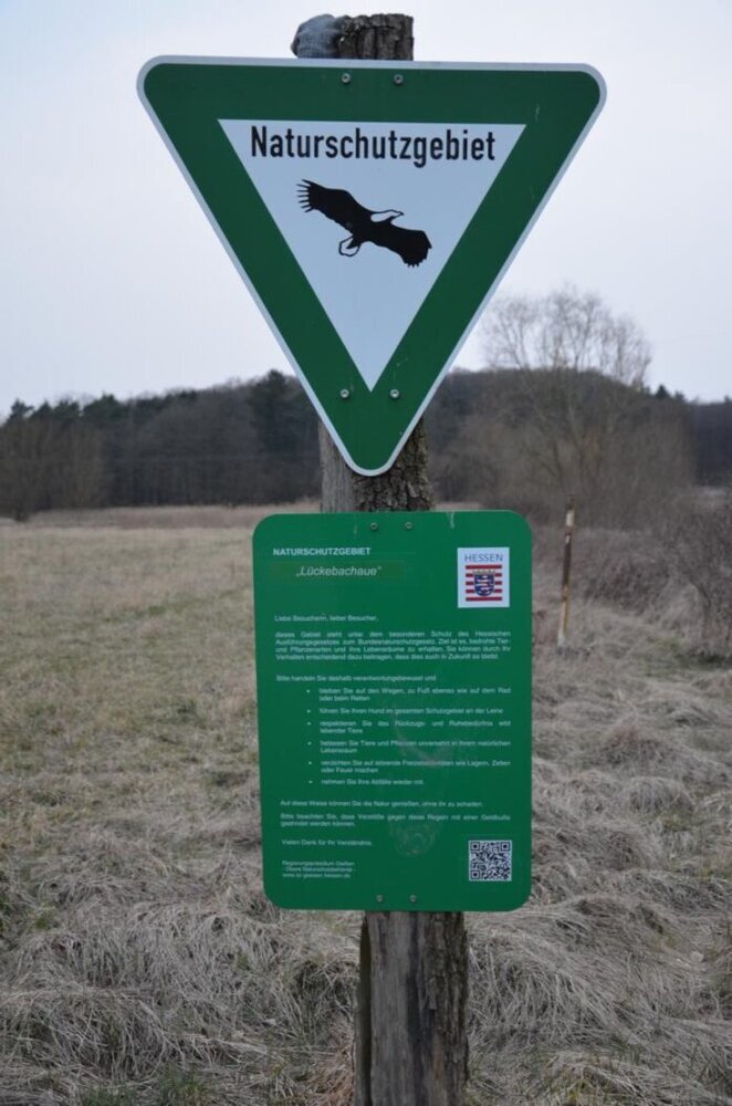 NSG "Lückebachaue" in Gefahr