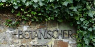 Seit heute wieder geöffnet, der Botanische Garten in Gießen