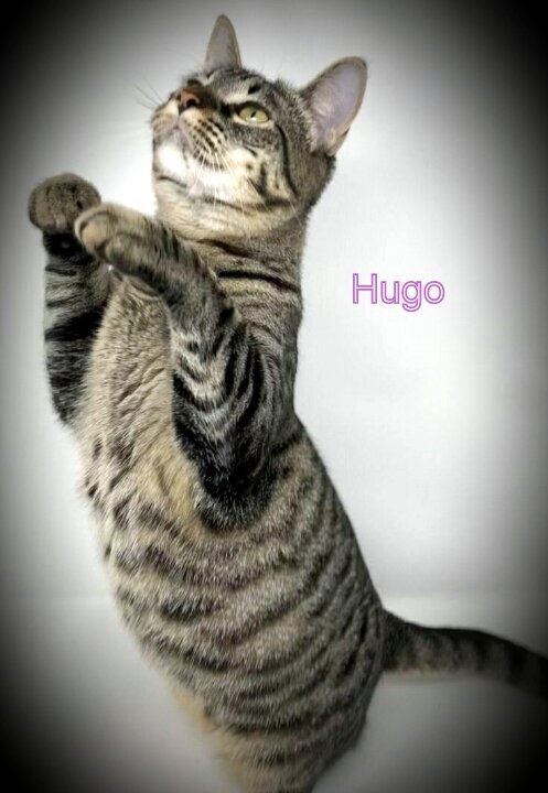 Resized_20220310_131716001