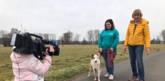 Border Collie HARLEY heute Abend 18.00 Uhr bei Maintower HR-Fernsehen – VERMITTELT –