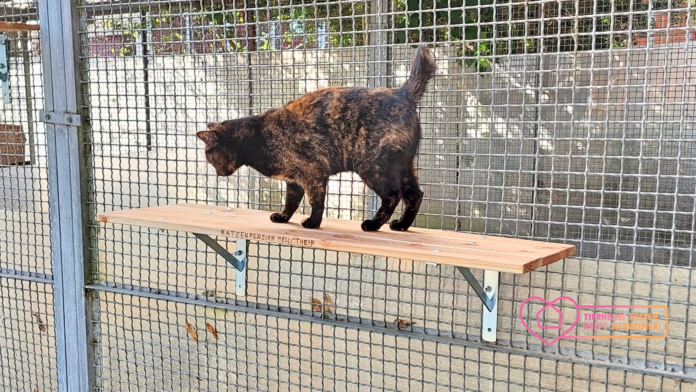 WhatsApp Image 2022-03-23 at 18_Fotor_InPixio