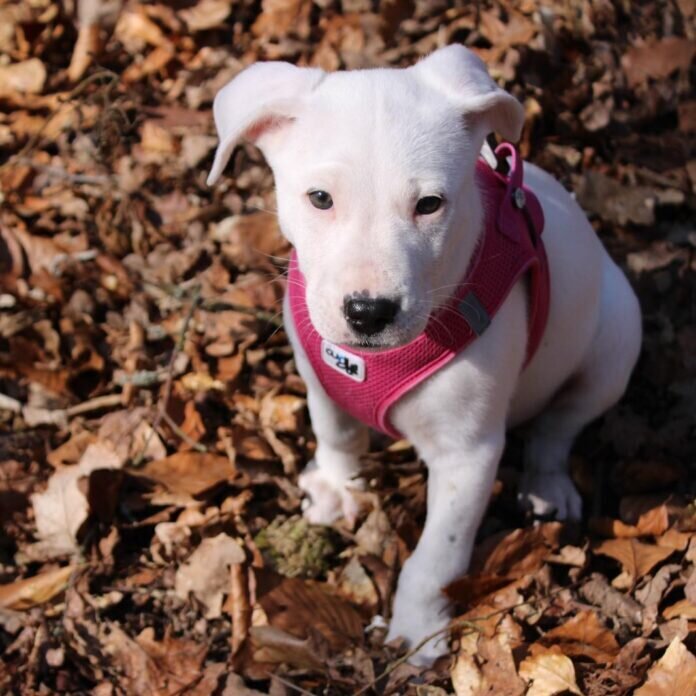 f884d791-309b-49e8-b49b-c58c1577ac28-1