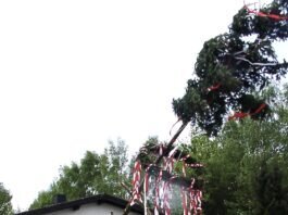 Zur traditionellen Feier am 1. Mai lädt der “Musikzug Holzheim” ein