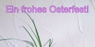 Das Team der Tieroase Heuchelheim wünscht allen Lesern und Leserinnen sowie dem Team der Giessener Zeitung ein schönes und sonniges Osterfest!