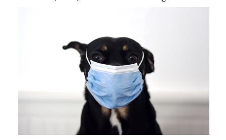 277812733_5411159532247219_1847575373333450548_n_Fotor