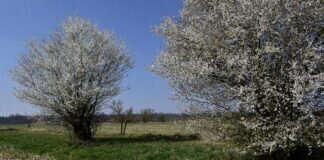 Auf Entdeckertour mit dem “Radl“ zu den Wirtswiesen – nahe Lich.