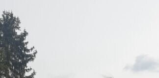 Sägewerkschornstein als prägendes Ortsbild von Londorf gesprengt