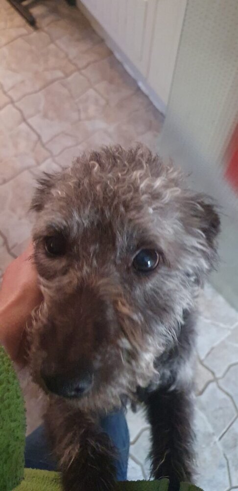 Screenshot_20220403-134638_WhatsApp