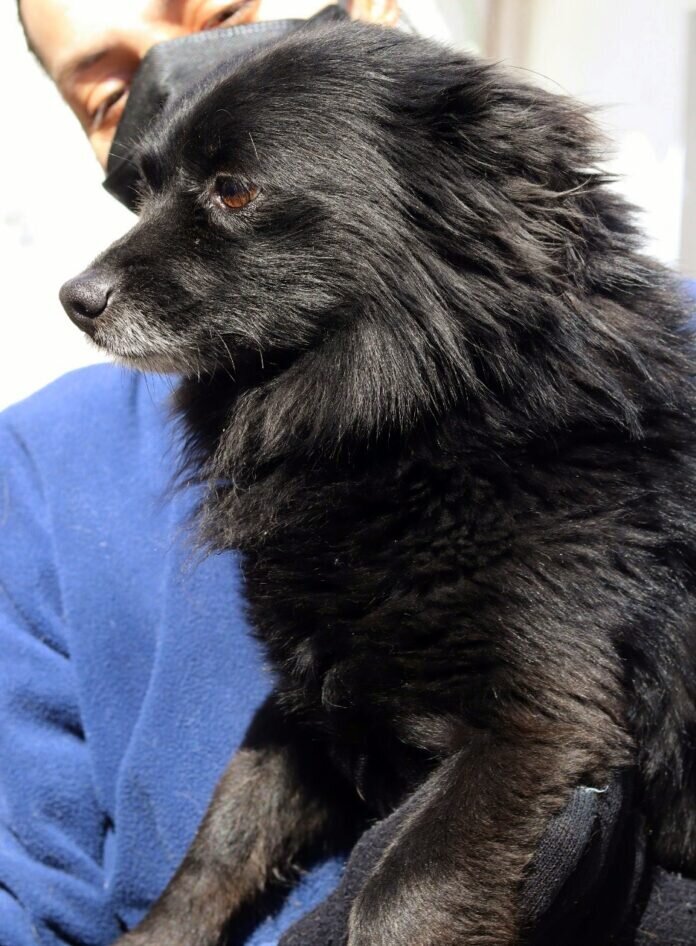 WhatsApp Image 2022-04-19 at 6.10.31 PM (1)-2