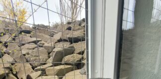 Schornsteinfegerfrauchen Serval!