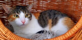 Moni auf Wohnungssuche!