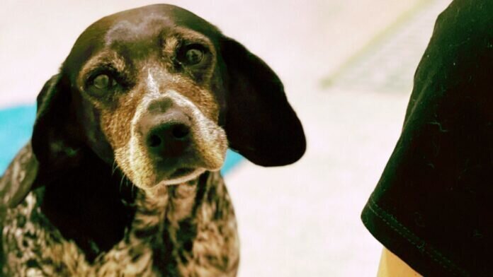 84156b42-a1fe-4352-ab05-d1a51e523fc4_inPixio