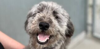 Freundlich und menschenliebend – MINE – VERMITTELT –