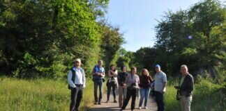 Vogelstimmenwanderung des NABU / VNULL Langd