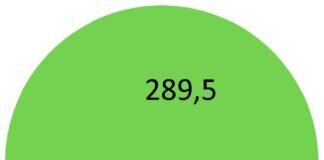 Wald ist mehr als Bäume Kuchgrafik zur Erläuterung der Zahlen, die im Text genannt wurden