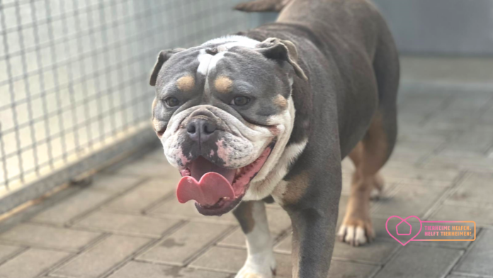 WhatsApp Image 2022-05-09 at 14.01.38_inPixio - Copy