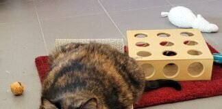 Ein liebenswertes Trio!