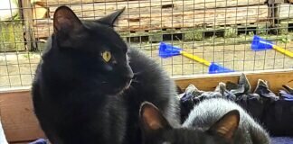 Ein Team fürs Leben!