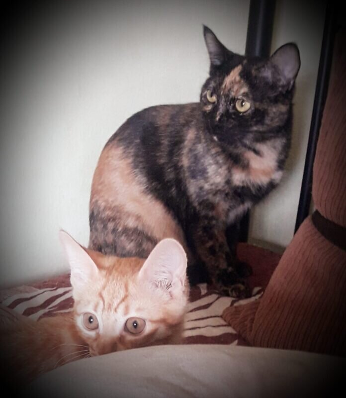 281862444_777120147031441_3790656205156424797_n