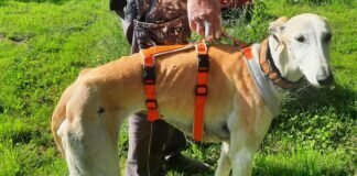 Ein Bild des Jammers!