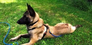 Keegan, der kleine Abenteurer!