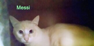 Wenn da die Angst nicht wäre!