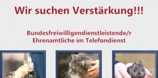 Wir suchen Verstärkung!!!