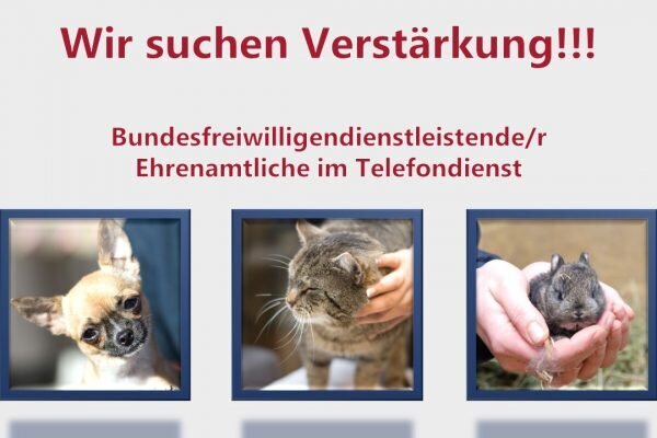 Startseite-Wir-suchen-Verstärkung-600x400