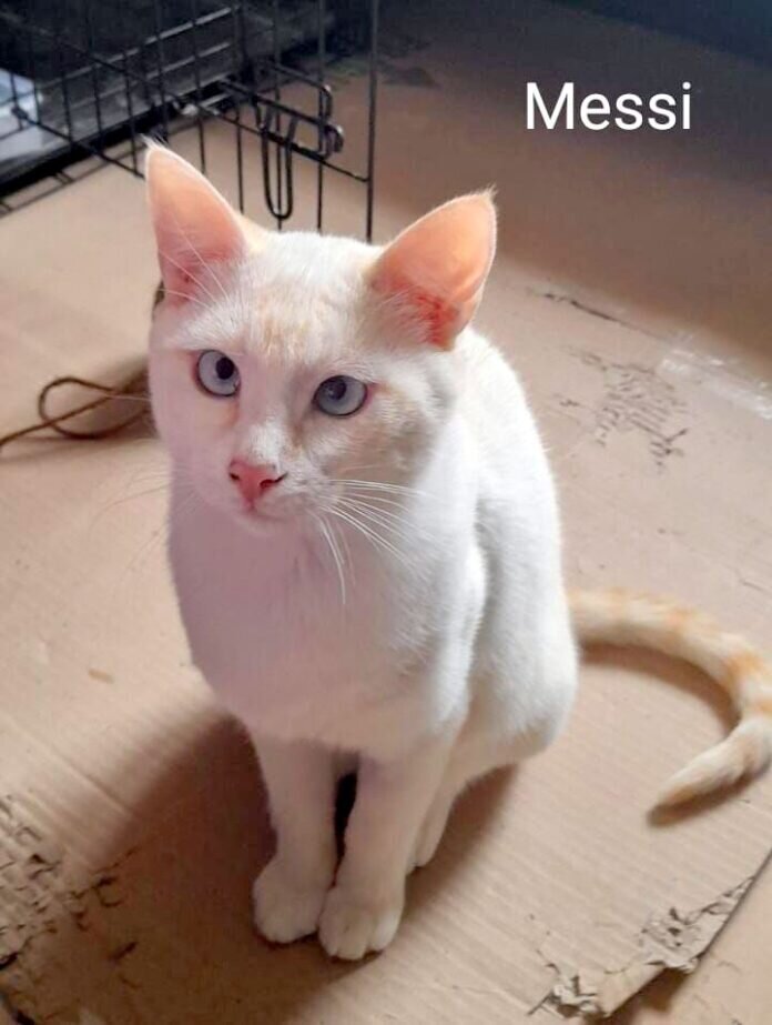 WhatsApp Image 2022-05-12 at 10.44.16 PM (2) - copia