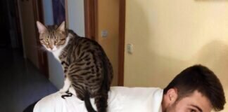 Cuby der Herzensbrecher! Zuhause gefunden!