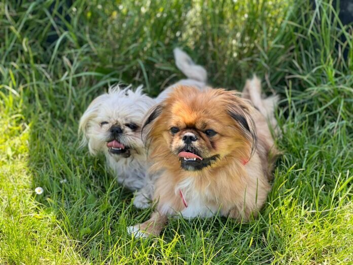 bbdc2a19-ef31-4599-8113-778195a10fab