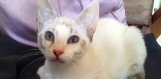 Das süße Mutter- und Tochtergespann!