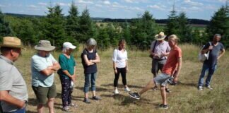 Ein Strauß voller Wiesen-Wissen