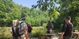 Lauschige Plätze für Wanderer im Merlauer Wald