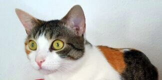 Warum will mich keiner?