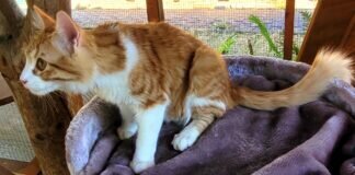 Ein Trio zum Verlieben!