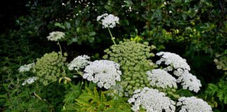 Die Welt ist voller Wunder: Es liegt an mir sie auch zu sehen.