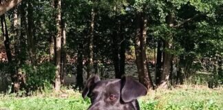 Sportskanone sucht neuen Wirkungskreis!