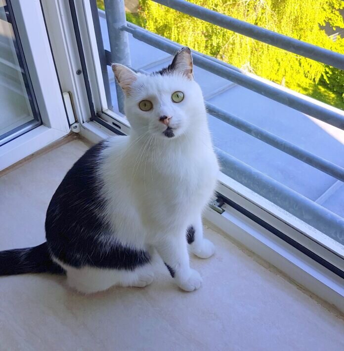 IMG_20210508_160942_881