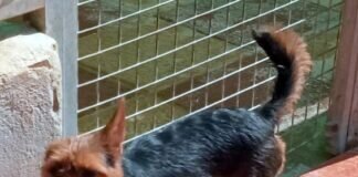 Luz, die kleine Entdeckerin!