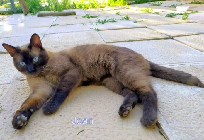 WhatsApp Image 2022-06-21 at 12.16.31 AM (1)